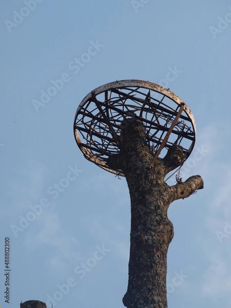 Obraz OLYMPUS DIGITAL CAMERA