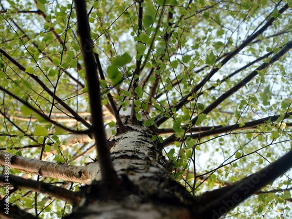 Obraz OLYMPUS DIGITAL CAMERA