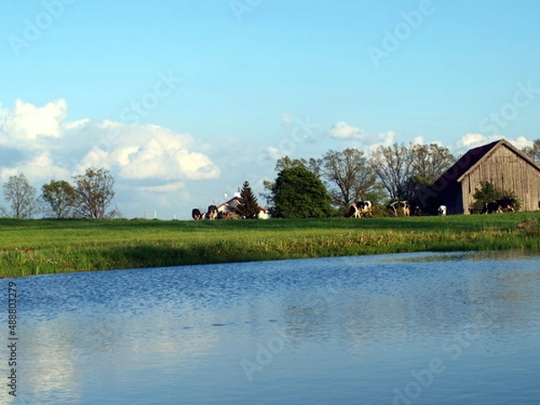 Obraz OLYMPUS DIGITAL CAMERA