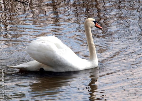 Obraz OLYMPUS DIGITAL CAMERA