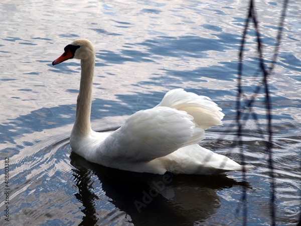 Obraz OLYMPUS DIGITAL CAMERA