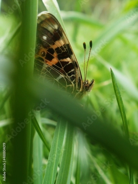 Obraz OLYMPUS DIGITAL CAMERA