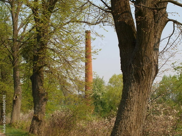 Obraz OLYMPUS DIGITAL CAMERA