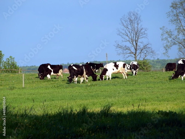 Obraz OLYMPUS DIGITAL CAMERA