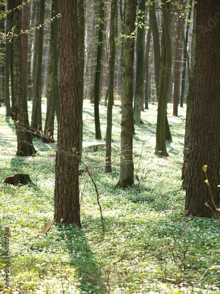 Obraz OLYMPUS DIGITAL CAMERA