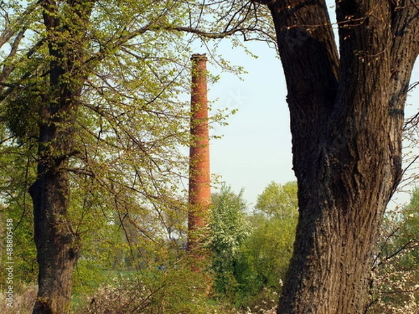 Obraz OLYMPUS DIGITAL CAMERA