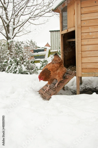 Fototapeta Underhusiastic