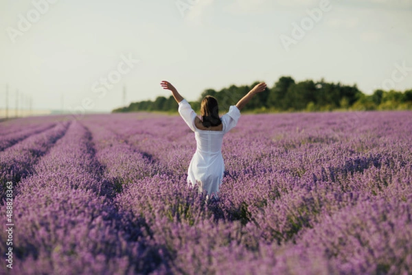 Fototapeta Beautiful and happy young woman in a white dress enjoys a walk in the lavender field and raised her hands. Back view
