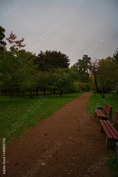 Obraz _DSC20201005l19