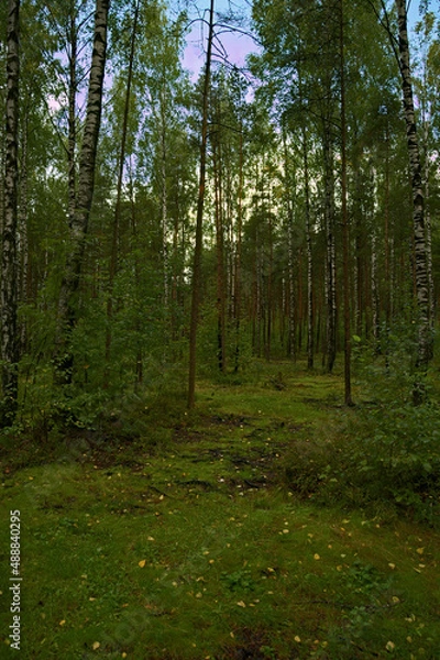 Obraz _DSC20210903Pl34