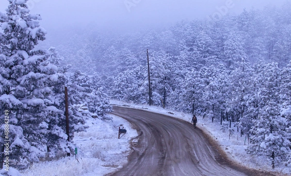 Obraz river in winter