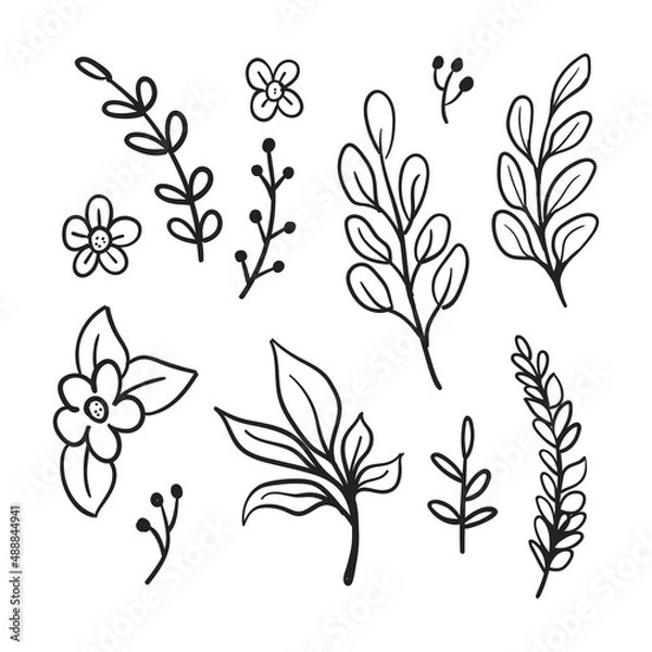 Fototapeta Vector branches and leaves. Hand drawn floral elements. Vintage botanical illustrations. Doodle nature ornaments.