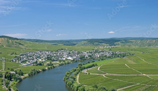 Fototapeta der beliebte Weinort Leiwen an der Mosel