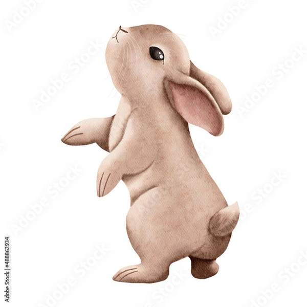 Fototapeta Cute watercolor bunny isolated on a white background.