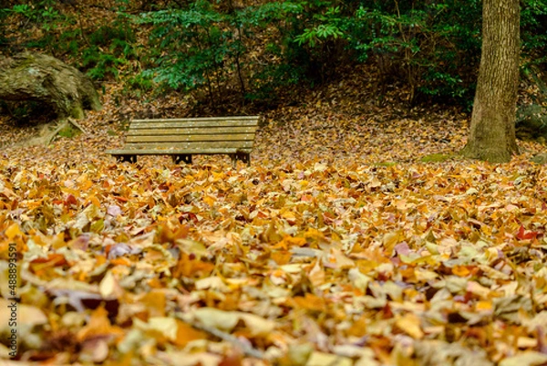 Obraz 冬の公園のベンチ風景
