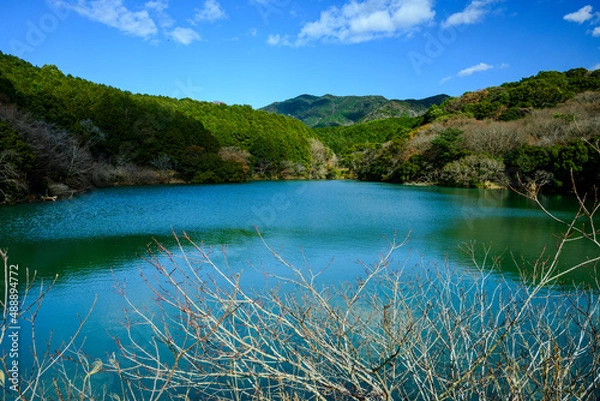 Obraz 森林の森公園相原池の全景