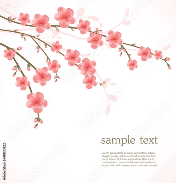 Fototapeta Cherry blossom card