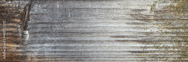 Fototapeta grunge background: sunburnt whitened wood surface close, cracks and dents, toning