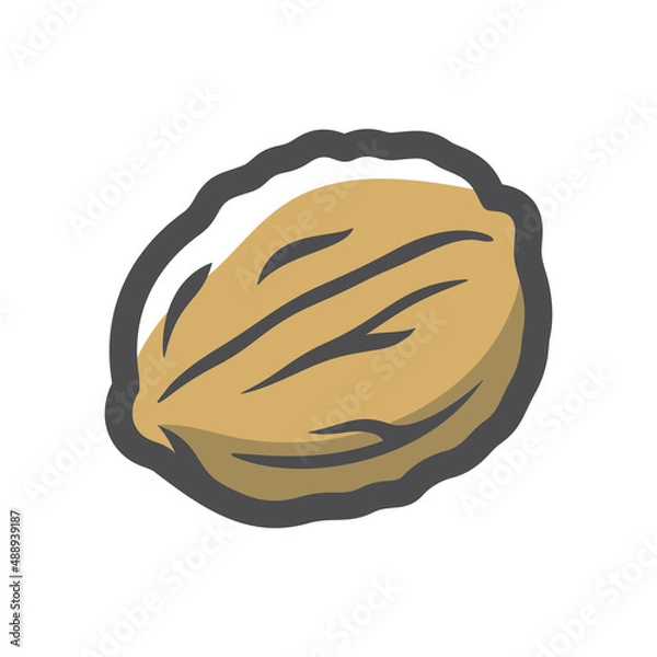 Obraz Walnut in shell Vector icon Cartoon illustration.