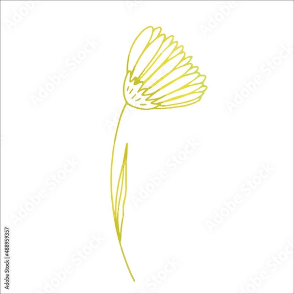 Obraz Single element gold flower in doodle style. Hand drawn vector illustration.