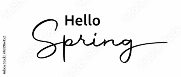 Fototapeta Hello Spring phrase continuous one line calligraphy with white Background