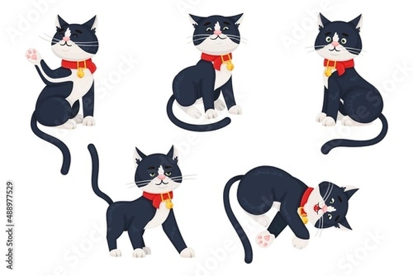 Fototapeta Stickers set. Cute black kitten in different poses. Cheerful funny playful pet. Vector illustration.