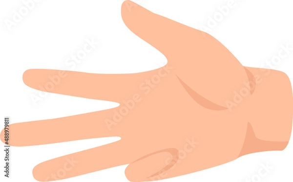 Fototapeta Four finger on human hand, counted gesture. Vector human finger gesture, number of four illustration