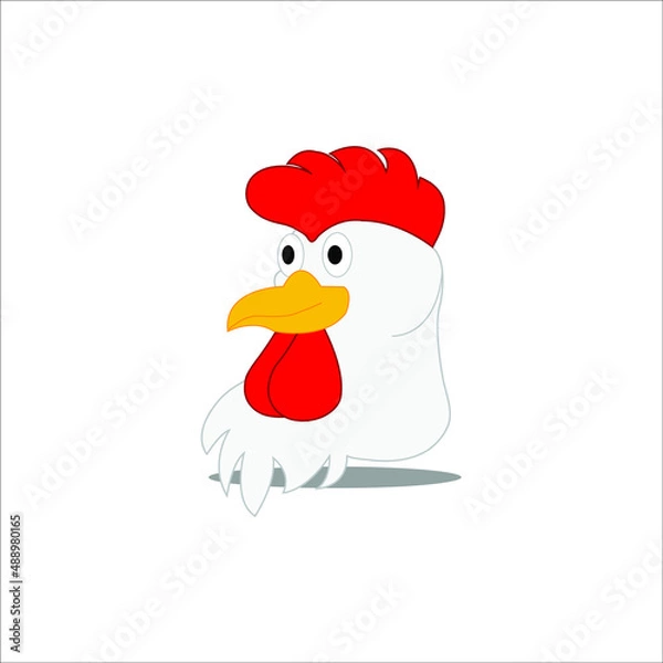 Obraz chicken face isolated on white background