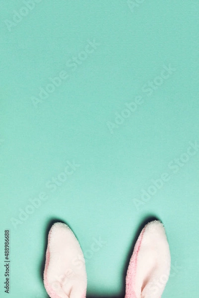 Obraz Plushy bunny ears  on bright background. Easter minimal concept