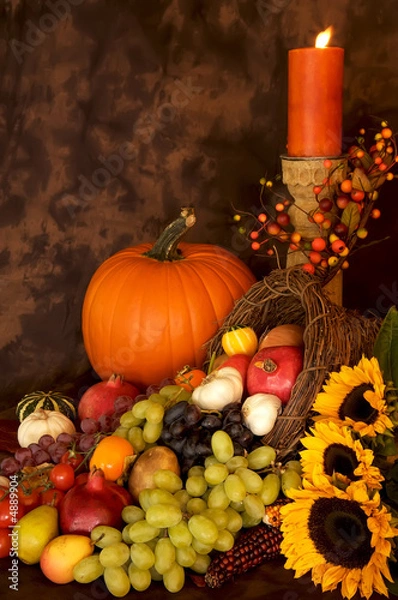 Obraz Thanksgiving Harvest