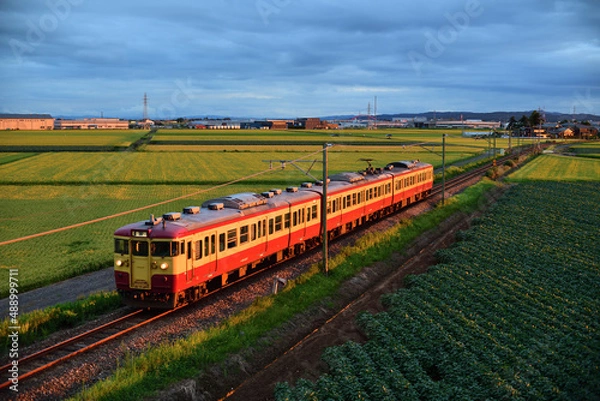 Obraz 越後線115系電車