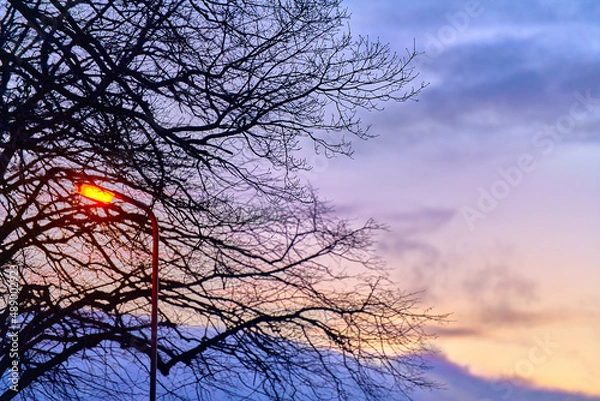 Obraz orange sunset in the sky