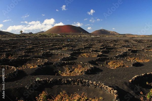 Obraz Lanzarote - La Geria
