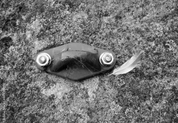 Obraz Feather and hook