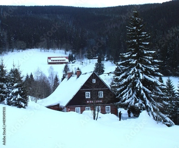 Obraz Winter cottage