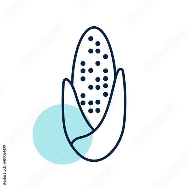 Fototapeta Corncob vector isolated flat icon