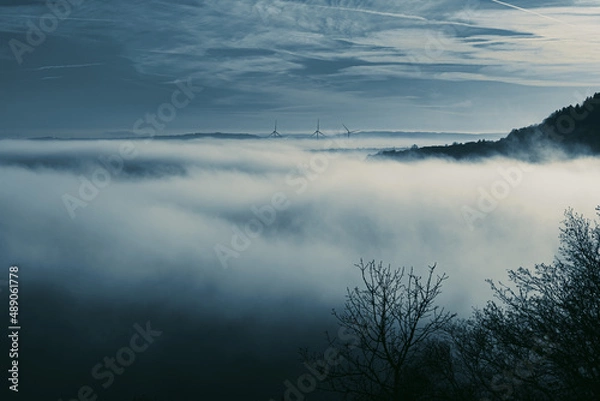 Obraz Nebel über der Vulkaneifel