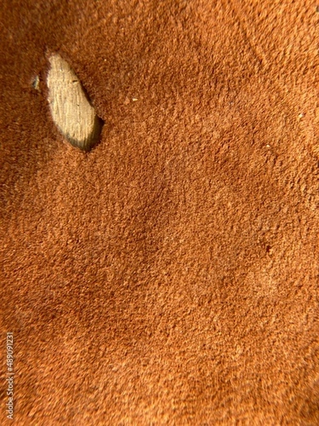 Obraz leather, leather texture, suede background