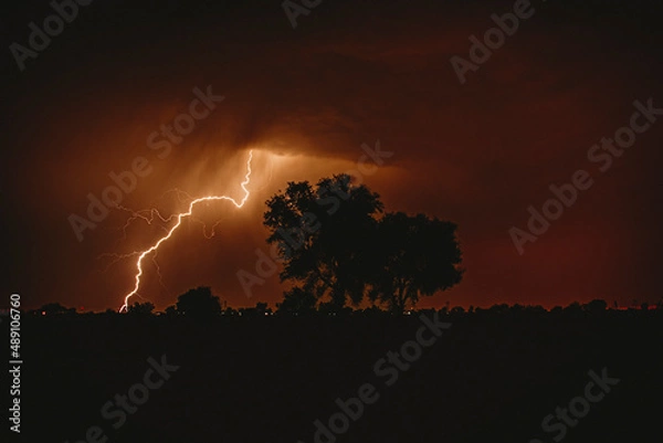 Obraz lightning in the night