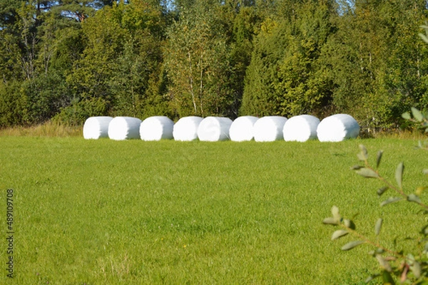 Fototapeta Hay Package