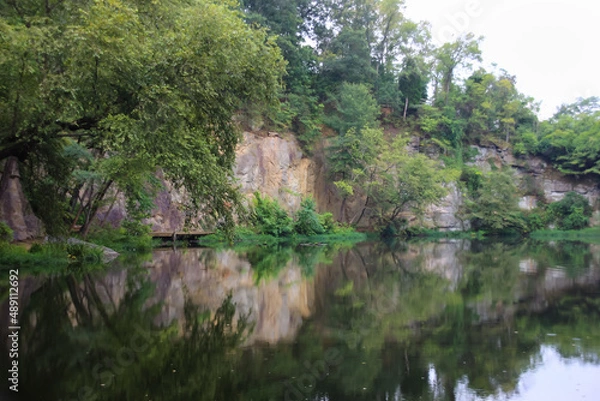 Obraz river in the forest