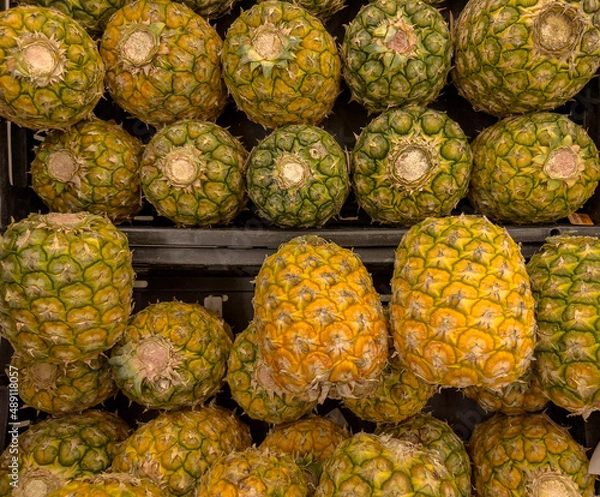 Obraz Pineapples in the fruit bin