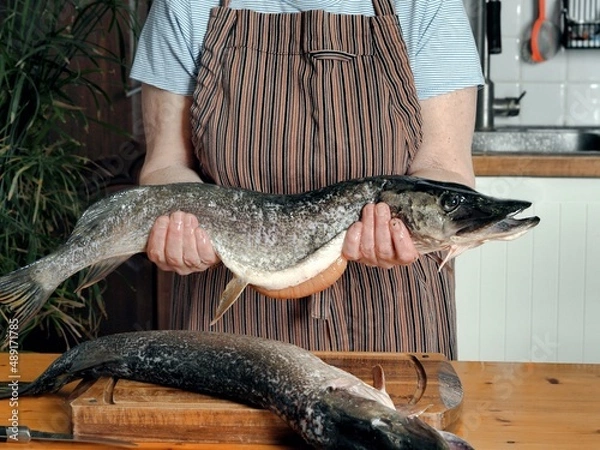 Fototapeta An elderly woman processes fresh pike at home. The process of preparing healthy food from fish.