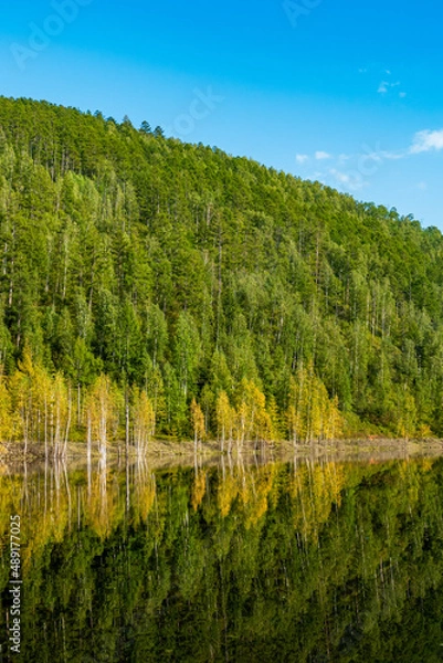 Obraz forest and mountain are reflected in the river summer sunny day