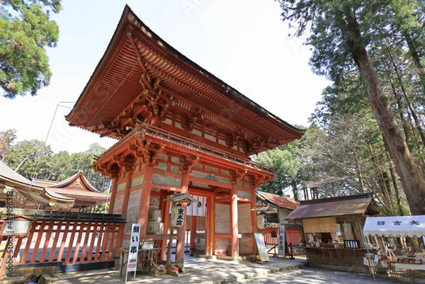 Obraz 滋賀大津・日吉大社の東本宮桜門