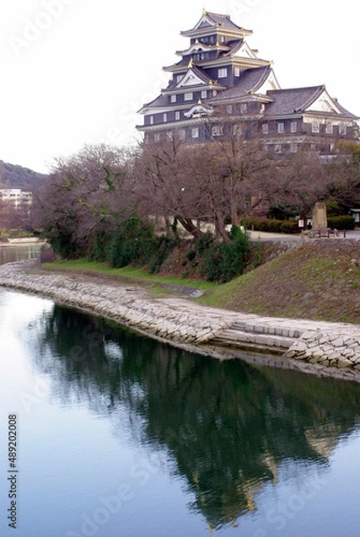 Fototapeta 岡山城の夕暮れ