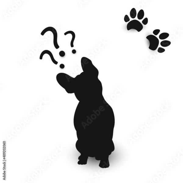 Obraz Silhouette of a dog with a tilted head, dog tracks and question marks. French Bulldog.