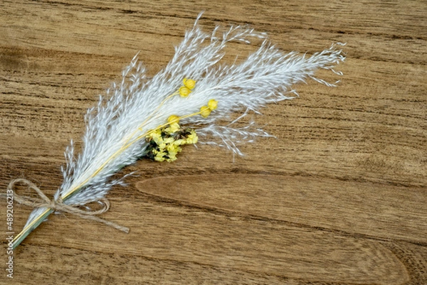 Obraz 木目とプリザーブドフラワー、パンパスグラス、ドライフラワー
