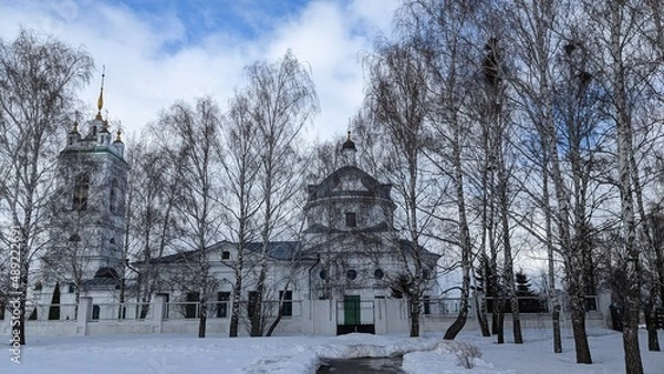 Obraz snow covered trees
