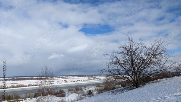 Obraz snow covered trees